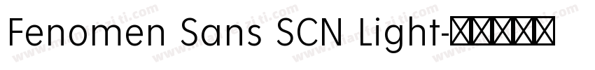 Fenomen Sans SCN Light字体转换